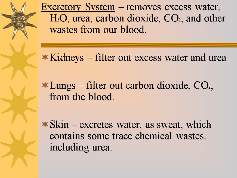 Excretory System – removes excess water, H2O, urea, carbon dioxide, CO2, and other wastes